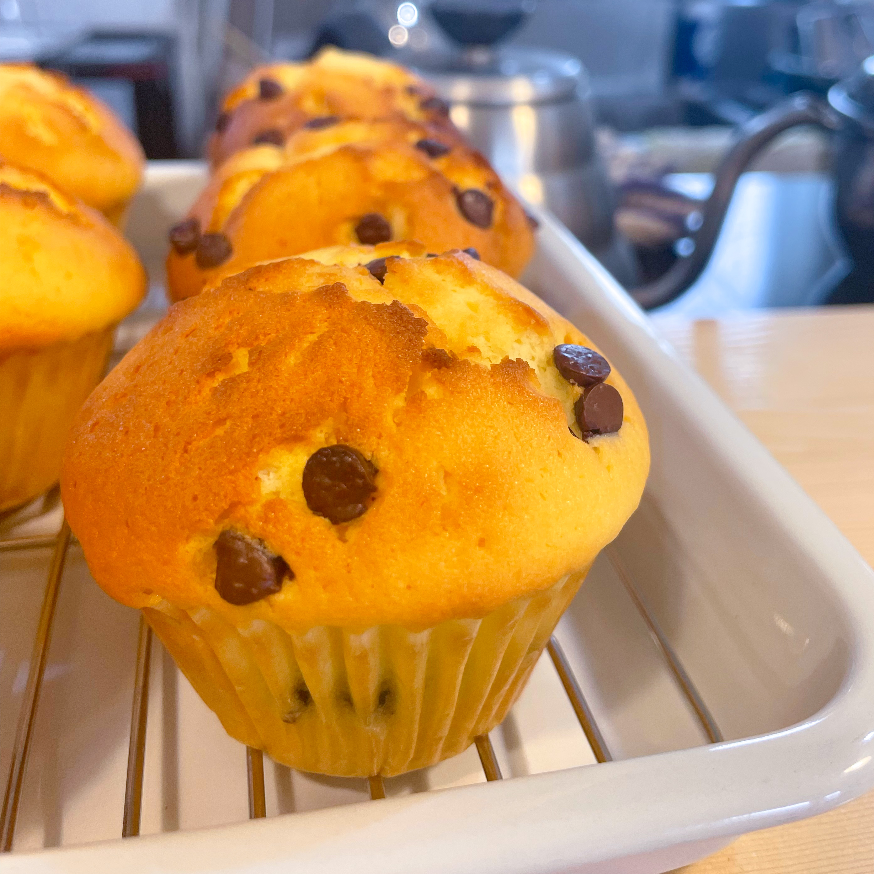 chocolate chip Muffin